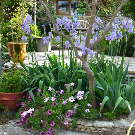 La Pause Nimoise Guest house *