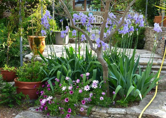 La Pause Nimoise Gæstehus 4*